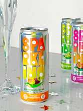 Load image into Gallery viewer, ALO Sparkling Mango & Mangosteen Carbonated Aloe Vera Juice Drink | 330ml Pack of 12
